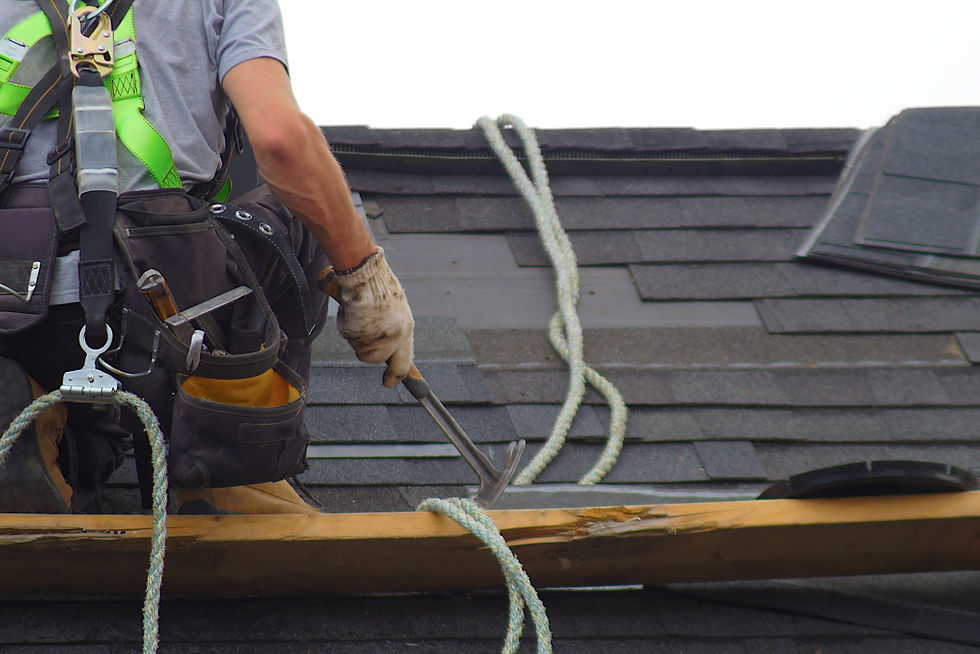 roof and gutters repair