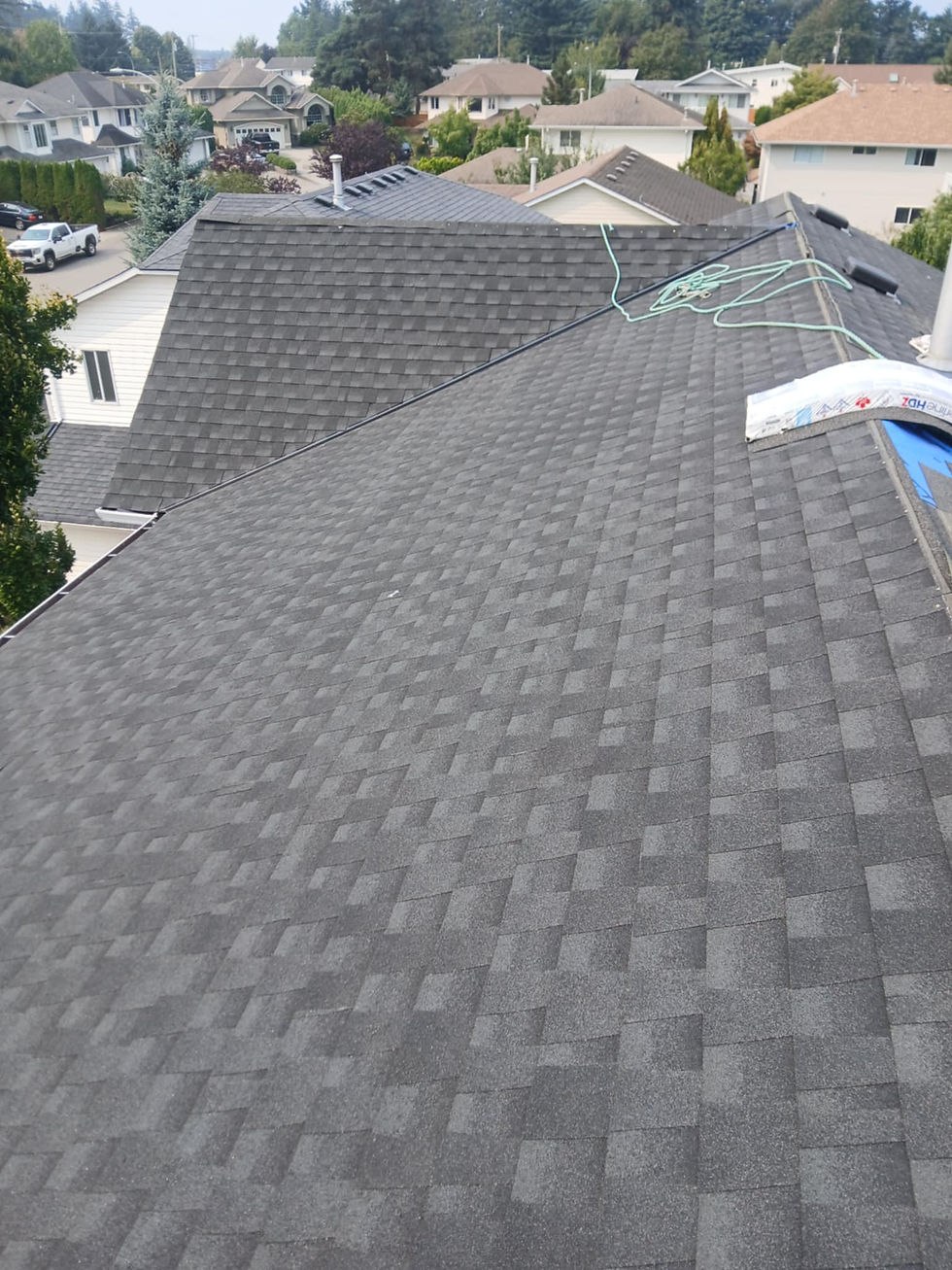 roof replacement