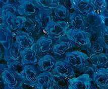 Foto del escritor: Naomi BLH