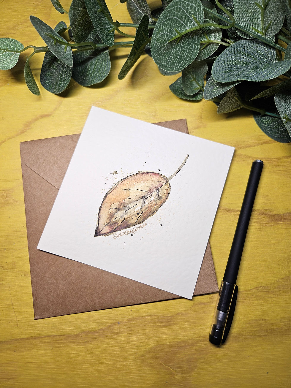 Notecards Medium size Illustrated Cards with Envelopes