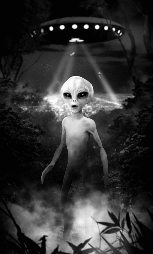 Grey_Alien_Landing.gif