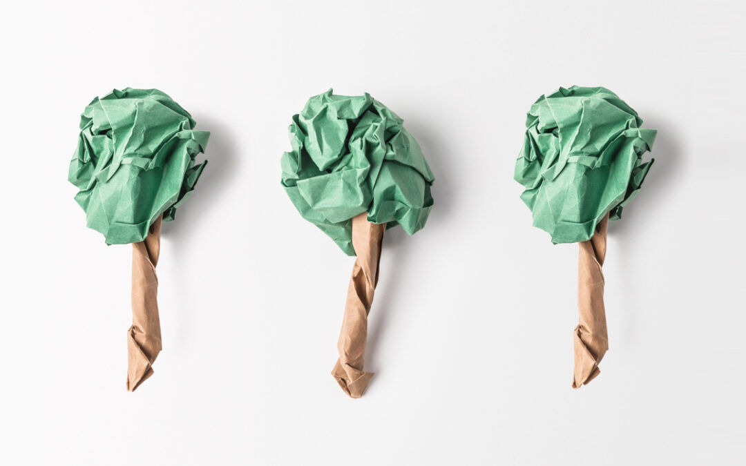 Verdant Carbon Zero carbon capture Eco-materials and Products