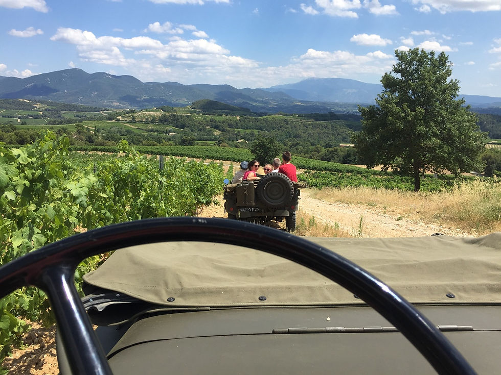 Vinsobres face au mont Ventoux