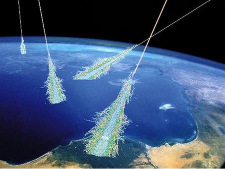 Transport Muon: Beating Muon in Speed and Performance in 1 Newton Step