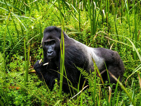 12 must visit destinations in Uganda