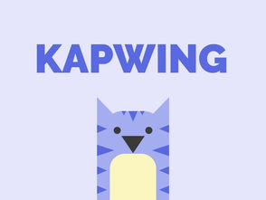Kapwing for Non-profits
