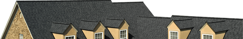 Shingle Roof