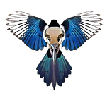 LOGO%20(2)_edited.png