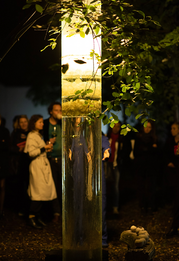 Screenshot 2024-08-08 at 17.32_edited.png