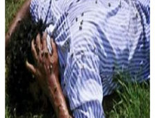 Muere tras ser atacado por abejas en la Tierra Caliente .