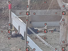 Con tiro de gracia asesinan a un hombre en Zihuatanejo.