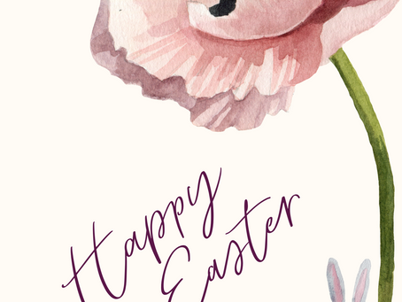 The Attracta Beauty Awards 2025: Entries Closed, Slow Beauty Judging Begins