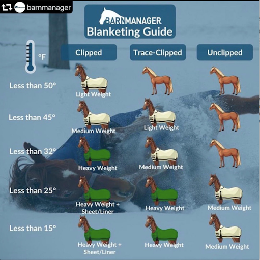 More On Blanketing