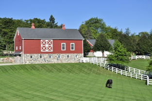 Hobby Farm or Actual Business?