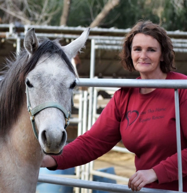 Love This Horse Equine Rescue