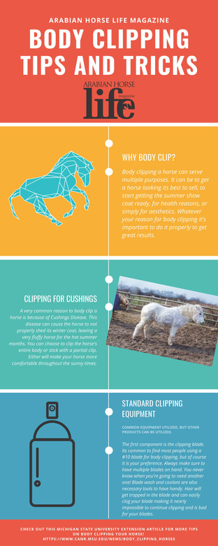 Body Clipping Tips and Tricks