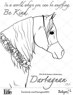 New Coloring Contest!