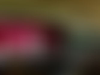 Wahlkampfveranstaltung in Ilmenau