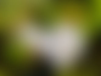 מה כל העניין סביב בדי כותנה ? אז זהו.... שיש הרבה -