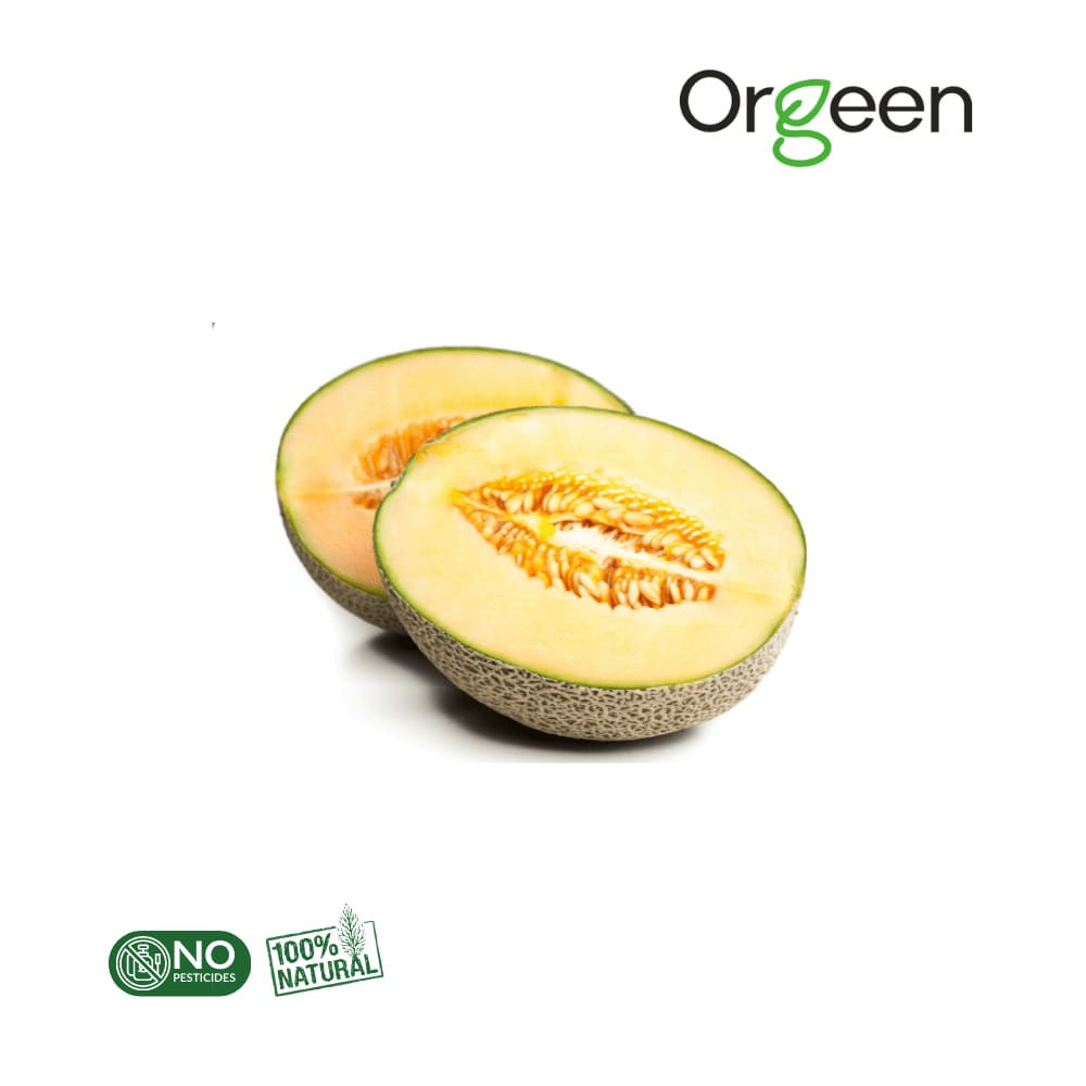 Orgeen - Muskmelon