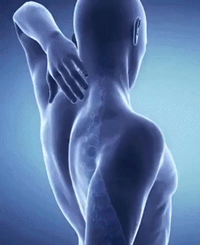 ezgif.com-video-to-gif_21_684125e8-247c-4e10-9bf0-f2ba99ea448a_large.gif