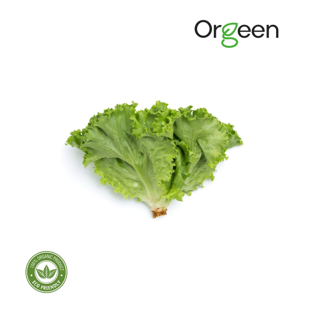 Orgeen - Leaf Lettuce ( 150 gms - 200 gms )