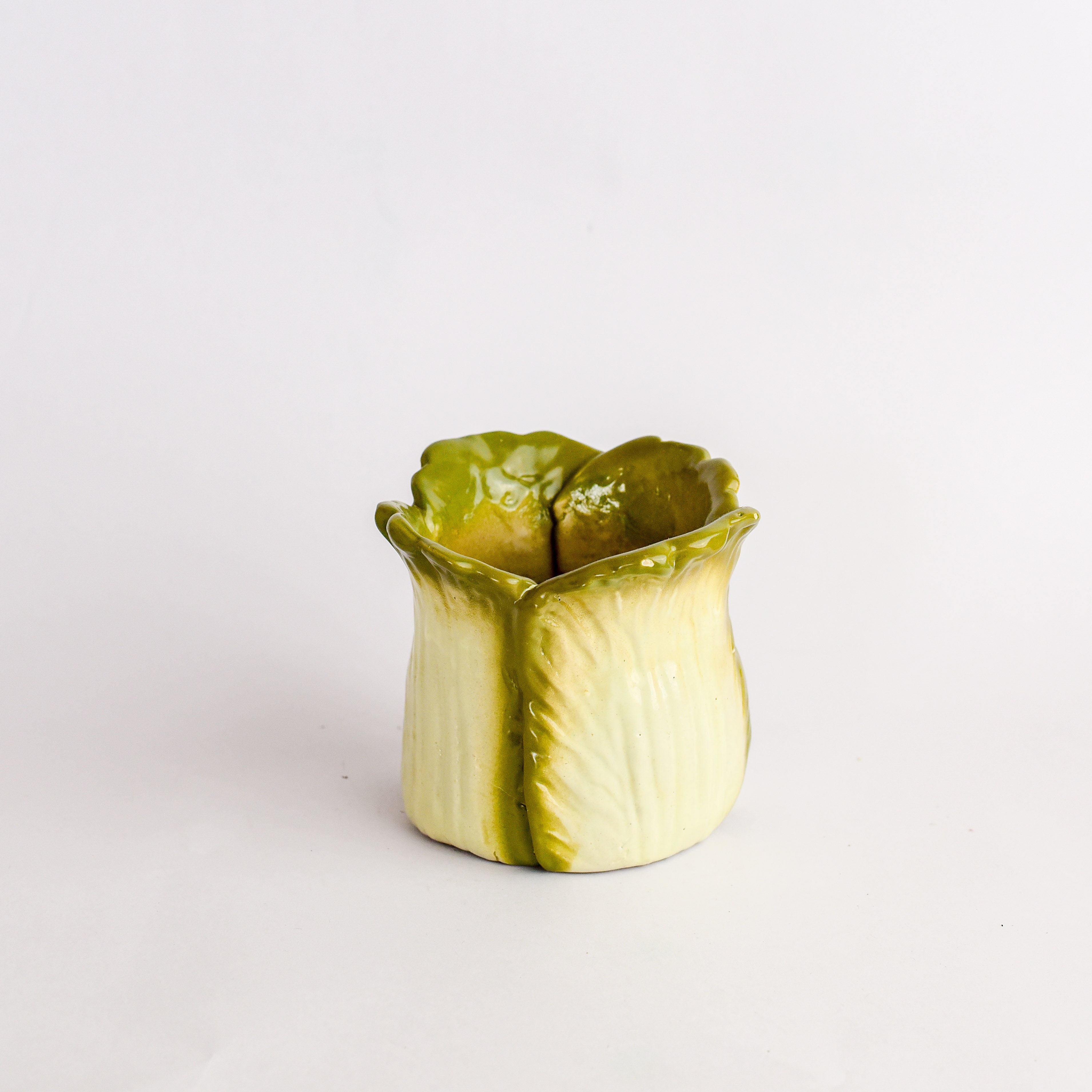 Phool Patti - Cabbage Planter