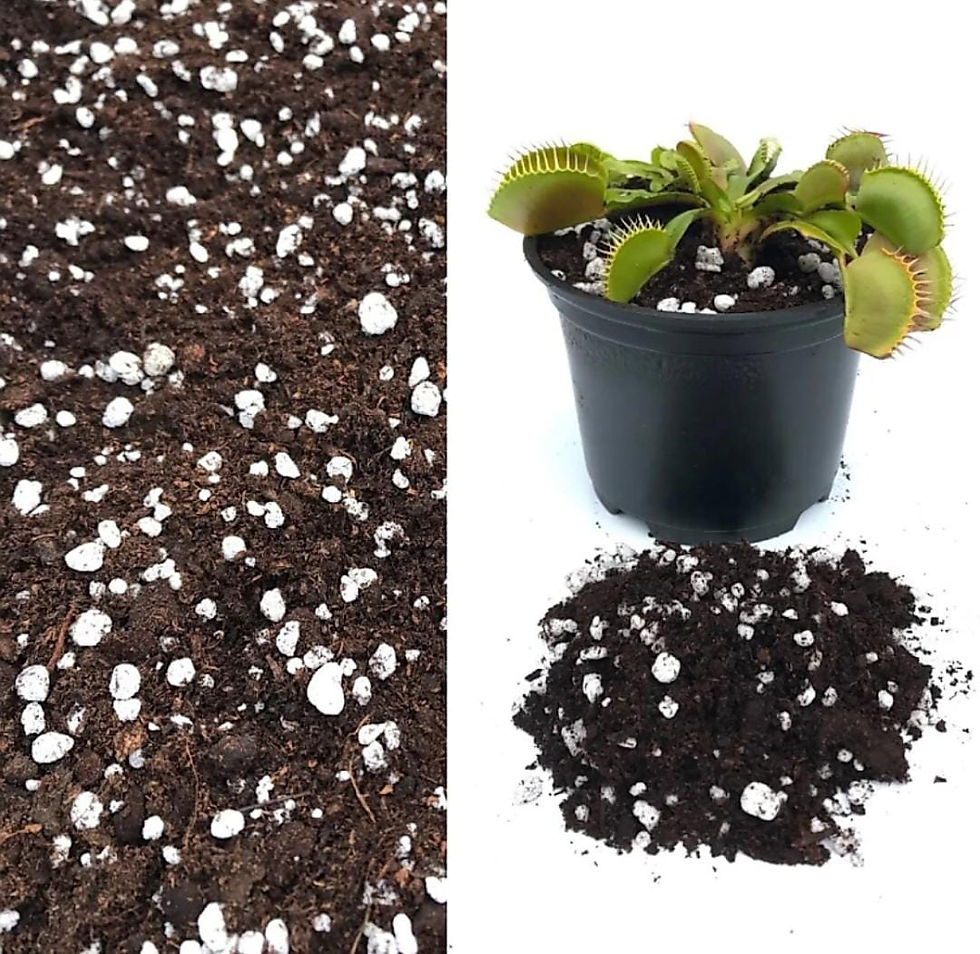 Thumbnail: Sanjeevani Organics Enriched Cow Manure ( 1 kg )