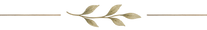 RAMETTO.png