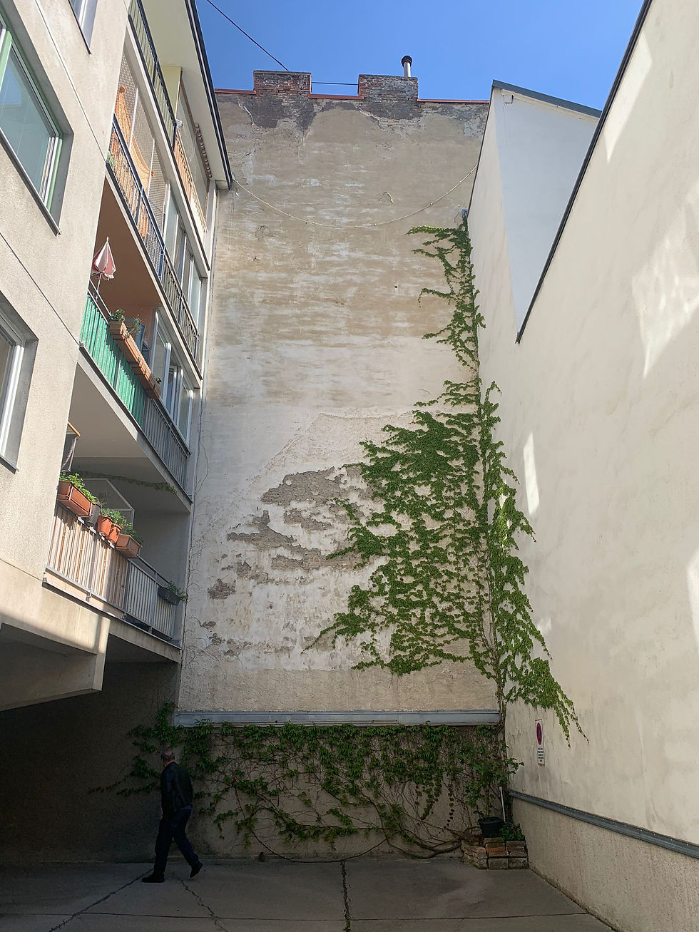 Fassade Ausbesserung