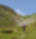 sentiero 101 con vista colle valdobbia e rododendri in fiore