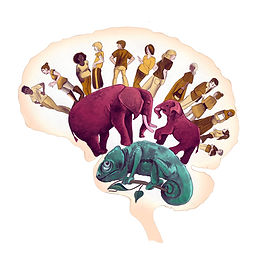 Beautiful original illustrations throughout the book help concepts come alive.