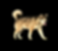 Alaskan Malamute Breeders near me