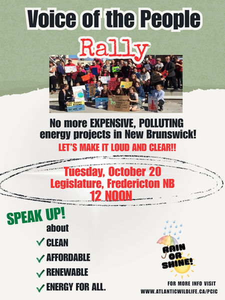 Voice of the People Rally Poster - Sept. 29, 2026.jpg