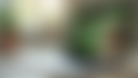 Exploring Online Holistic Health Resources: A Comprehensive Guide