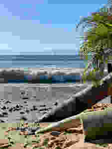Sandy beach in Mexico