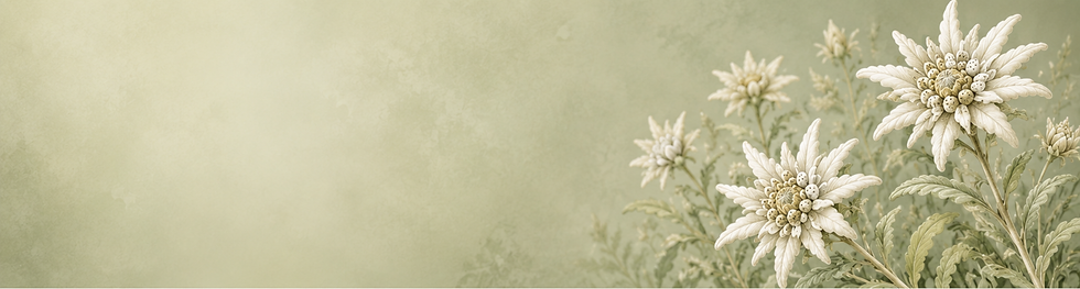 edel banner.png