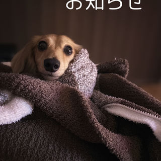 【ご注文は8/7までが安心】リアボーテ化粧品ご利用中のお客さまへ|夏季休暇に伴う納期のお知らせ