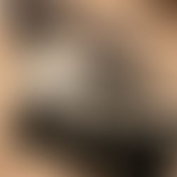 ご予約いただいた方の分が到着★