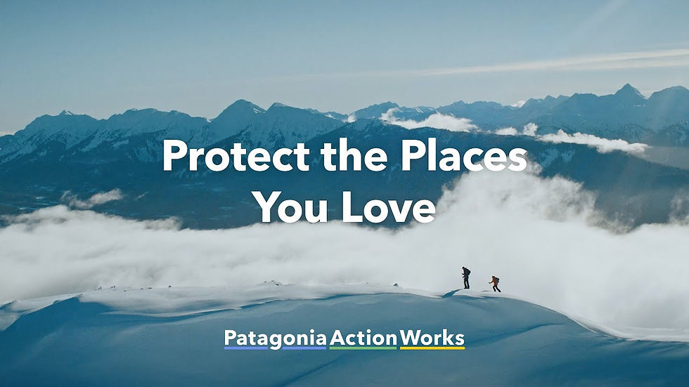 Patagonia 'Protect the Places You Love' Campaign