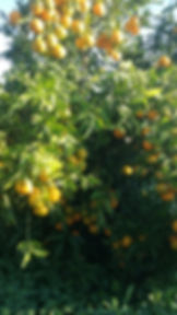 6AE23E97-6730-41E4-A1AF-3692628E28B1