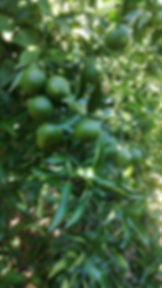 820E385D-55DA-4561-97A8-E97D8FB85451