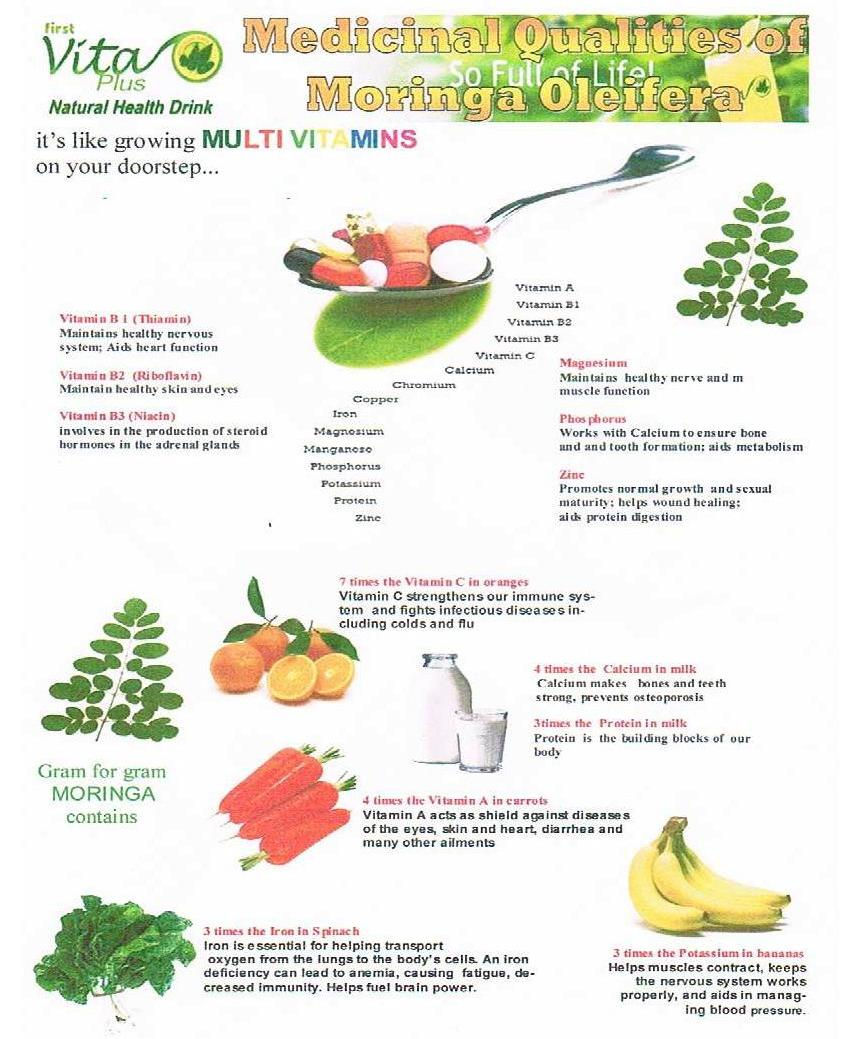 Miniatyrbilde: Moringa - Mother of Nutritions