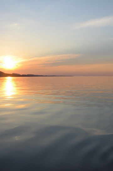 Miniatyrbilde: Rosita Fish Oils