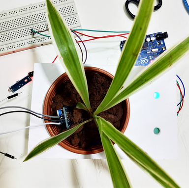 set up with green light.png