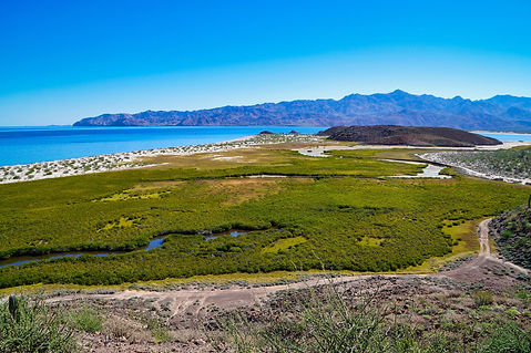 Las Animas, Baja California.jpeg