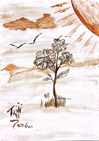 margarida_outono.jpg