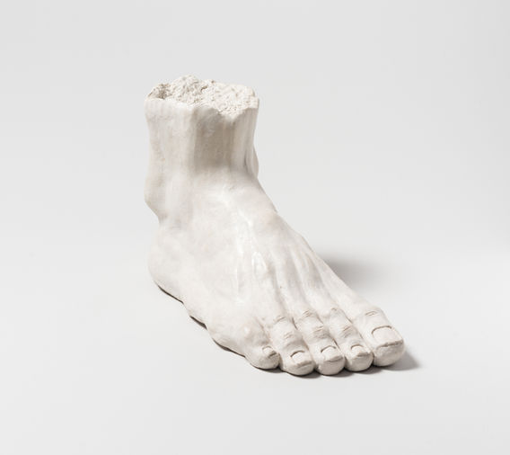 Segment du pied d'Armstrong