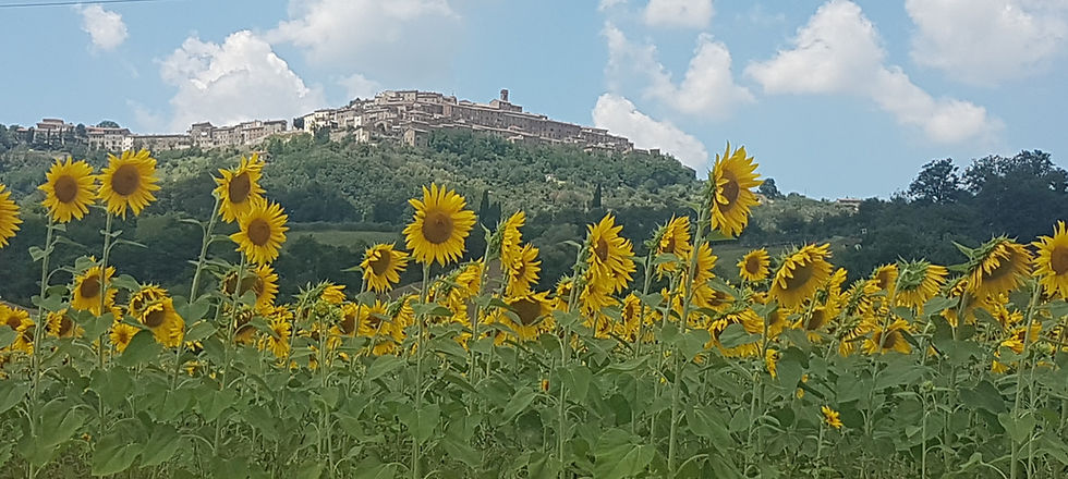 20180718_140510_edited.jpg