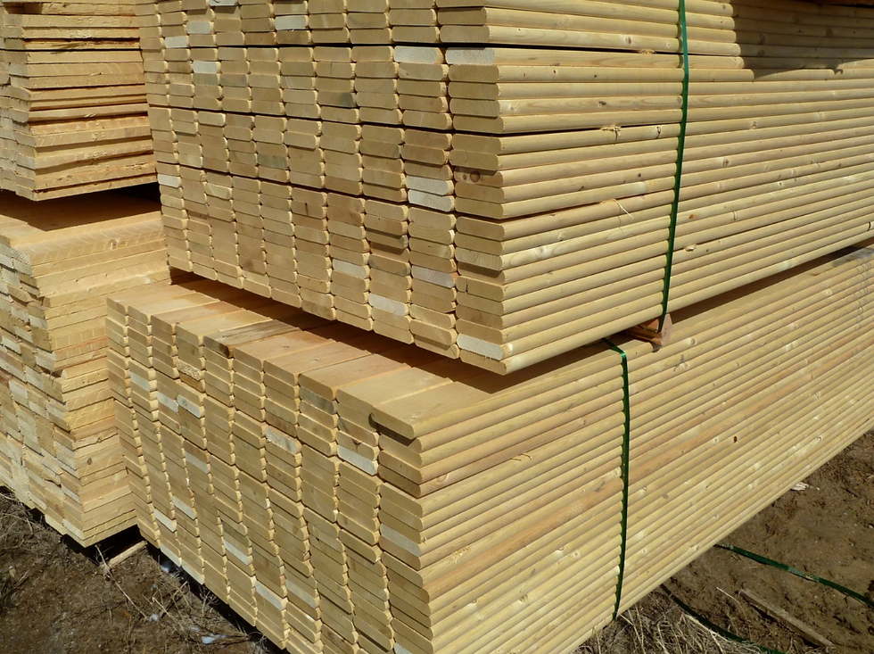 צילום מסך 2025-11-21 133107.png